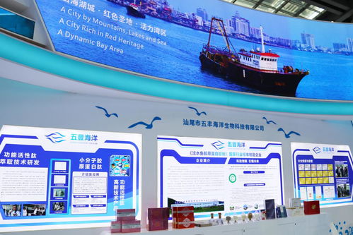 向海圖強，攜手繪就藍色發展新畫卷——深圳汕尾合作助推海洋經濟高質量發展